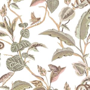 Botany House - Life 15507