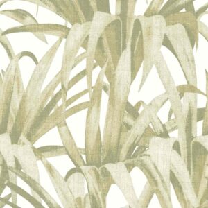 Botany House - Leaves 15525