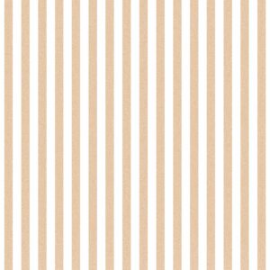Top Stripes Riga Uno 38438