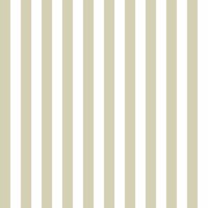 Top Stripes Riga Sette 38453