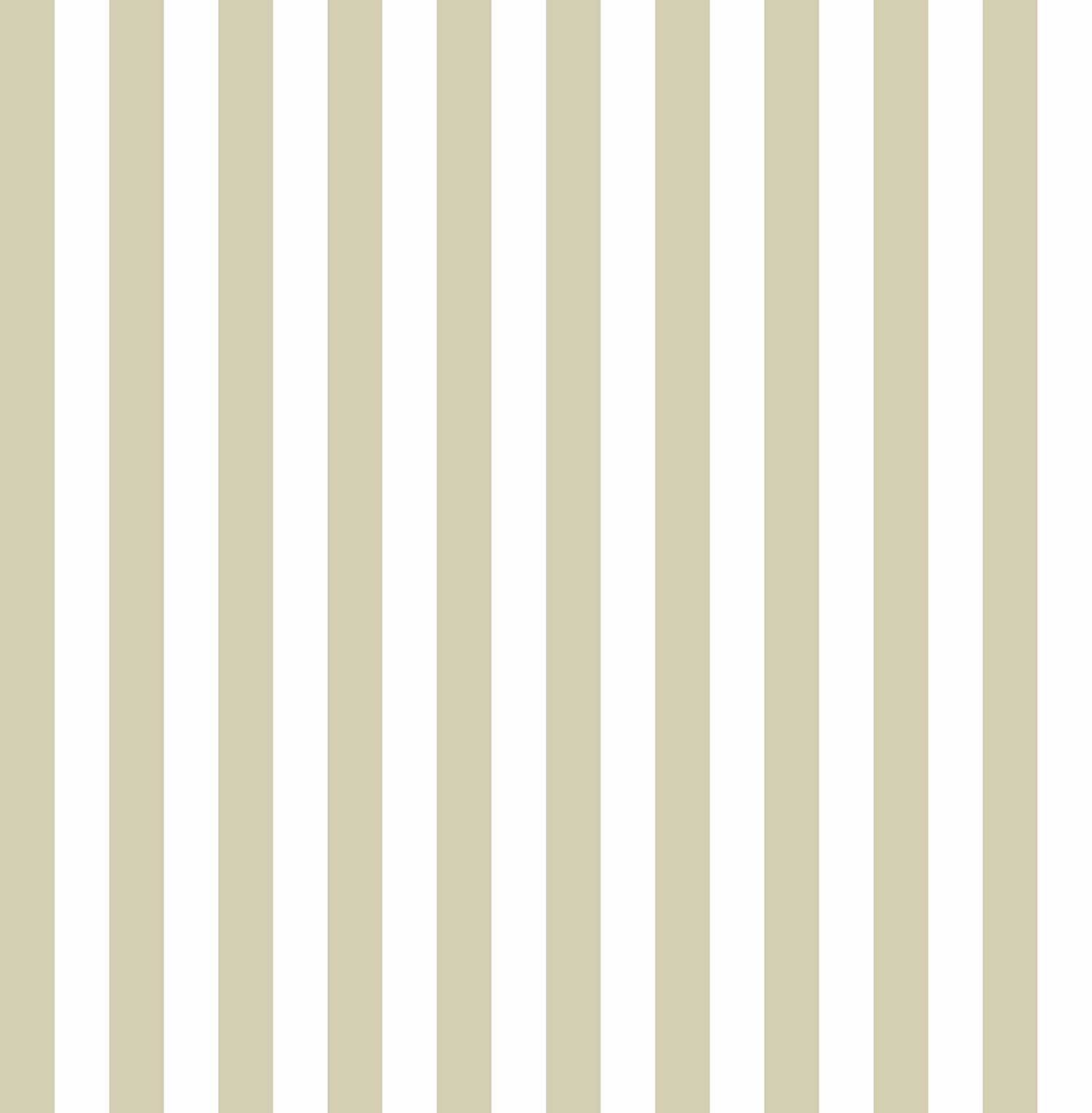 Top Stripes Riga Sette 38453