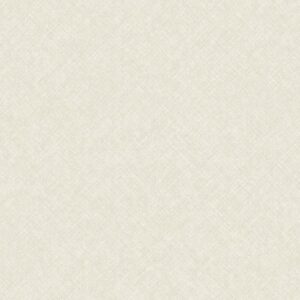 Concept - Grafico CO1101