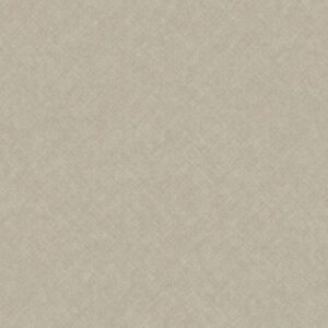 Concept - Grafico CO1104