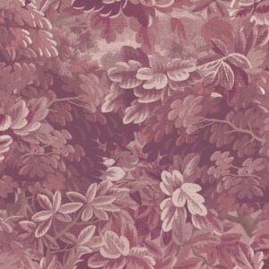 Goya - Aubusson 3850-5