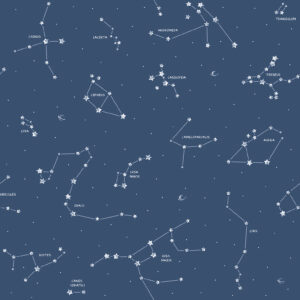 Pippo - Constelation 3361-1