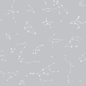 Pippo - Constelation 3361-3