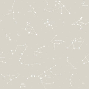 Pippo - Constelation 3361-4