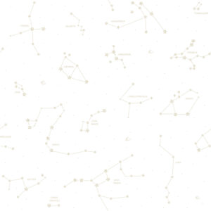 Pippo - Constelation 3362-3