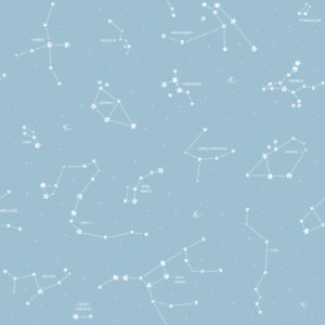 Pippo - Constelation 3361-2