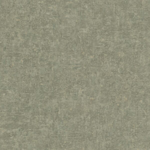 Belize - Texture BZ1006