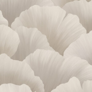 Belize - Coral BZ3011