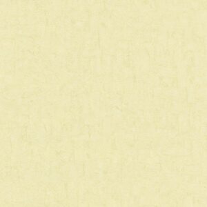 VAN GOGH 220078