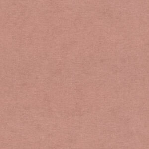 Allegretto - Texture 408157