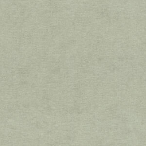 Allegretto - Texture 408171
