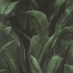 Allegretto - Careful 416237