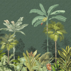 Biomas 83219