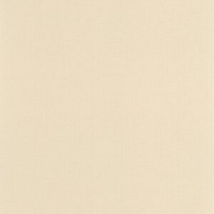OUTLINES - Life - BAI64522220