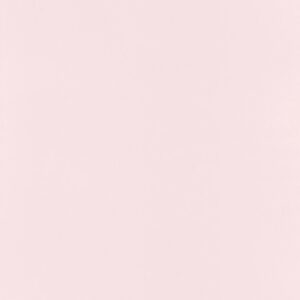 OUTLINES - Life - BAI64524040