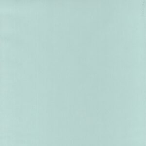 OUTLINES - Life - BAI64527007