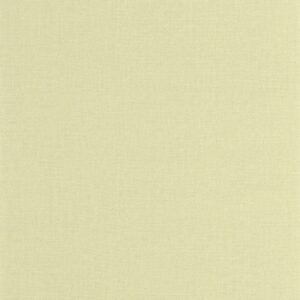 COCOON - Uni - CCON107997632