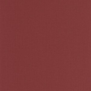 COCOON - Uni - CCON107998050