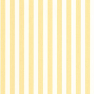 MIX & STRIPES - Bold Line - MIP107762020