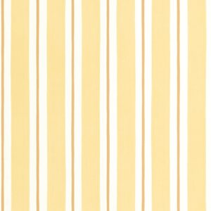 MIX & STRIPES - Painted Line - MIP107812020