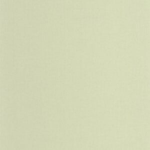OUTLINES - Life - OTLS64527721
