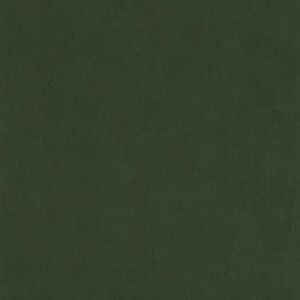 OUTLINES - Life - YNF64527370